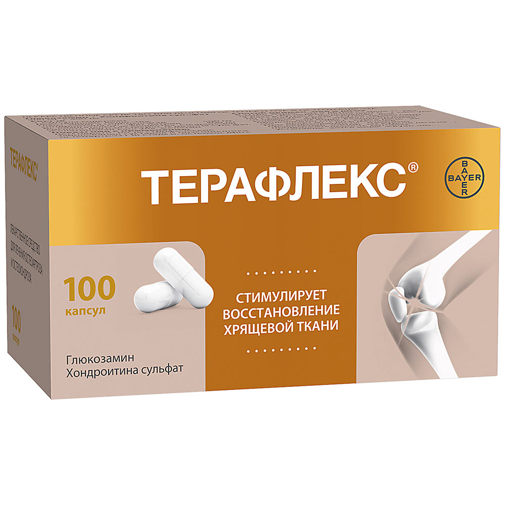 Терафлекс капсулы №100